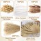 105 Pcs Boho Dried Pampas Grass & Palm Leaves(Brown,white)